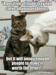 Lolcats - angry - LOL at Funny Cat Memes - Funny cat pictures with words on  them - lol, cat memes, funny cats