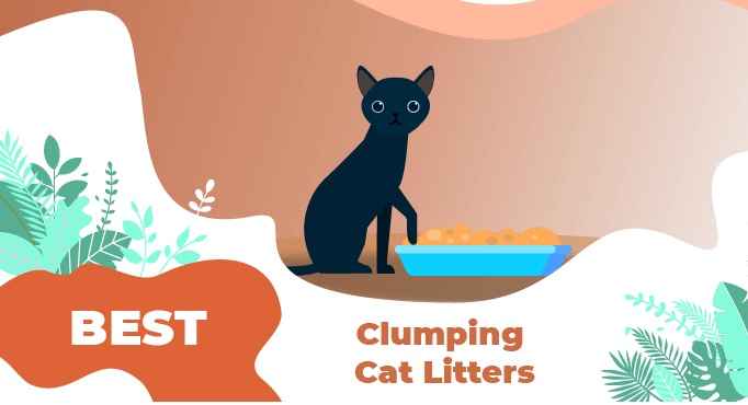 best clumping cat litter