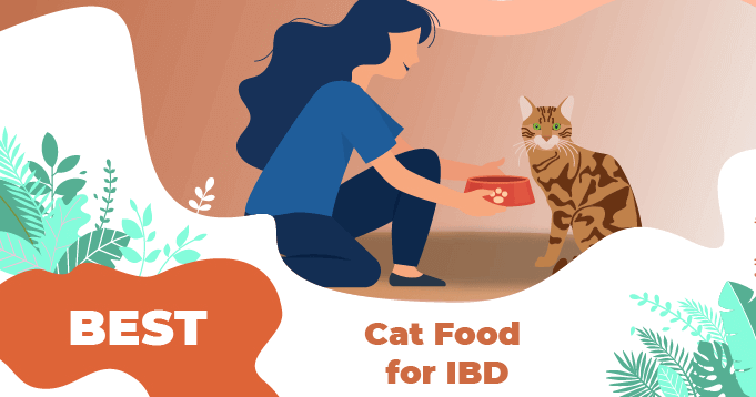 Best cat food for cheap hyperthyroidism