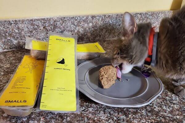 Newman's own clearance cat food review