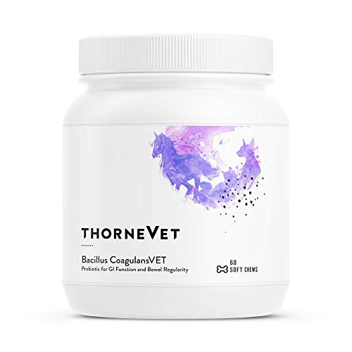 ThorneVet Bacillus CoagulansVET – Gastrointestinal Support for Dogs, Cats & Horses