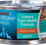 Purina Pro Plan Focus Adult Urinary Tract Health Formula Chicken Entree in Gravy Canned Cat Food