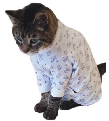 cat wearing onesie
