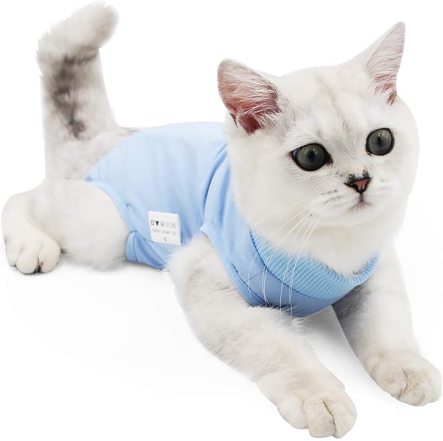 cat wearing a Surgical Suit