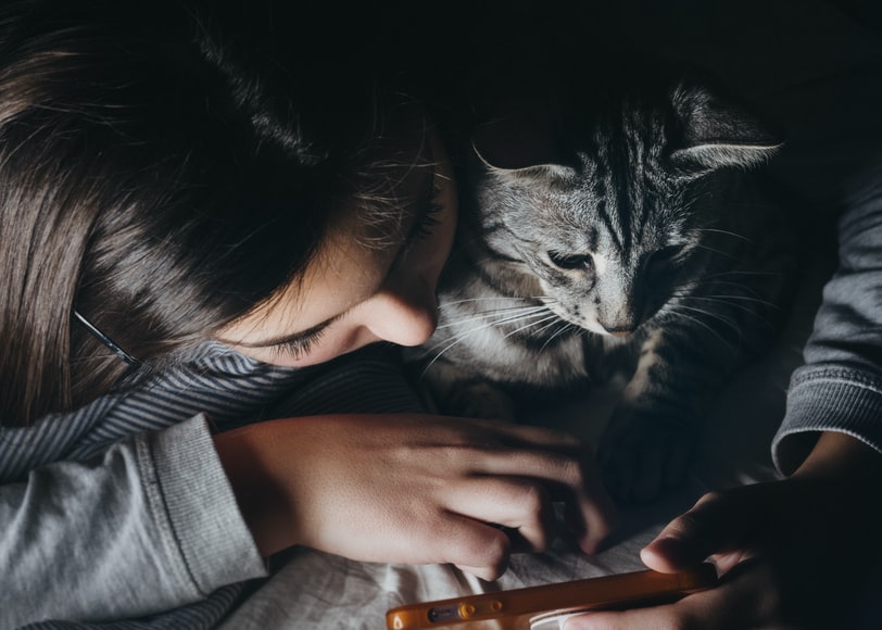 Adorable cat with human